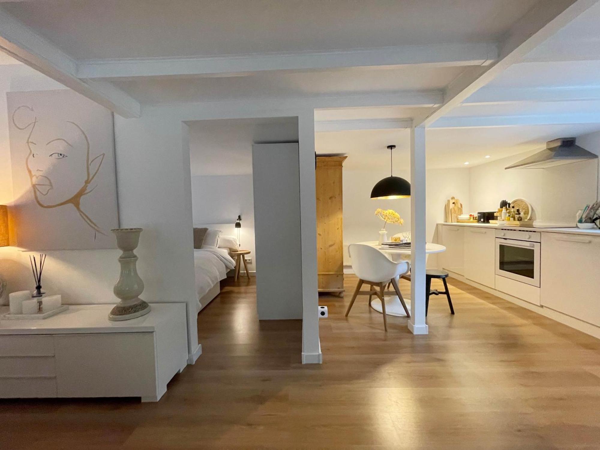 Duinstudio Bergen Luaran gambar